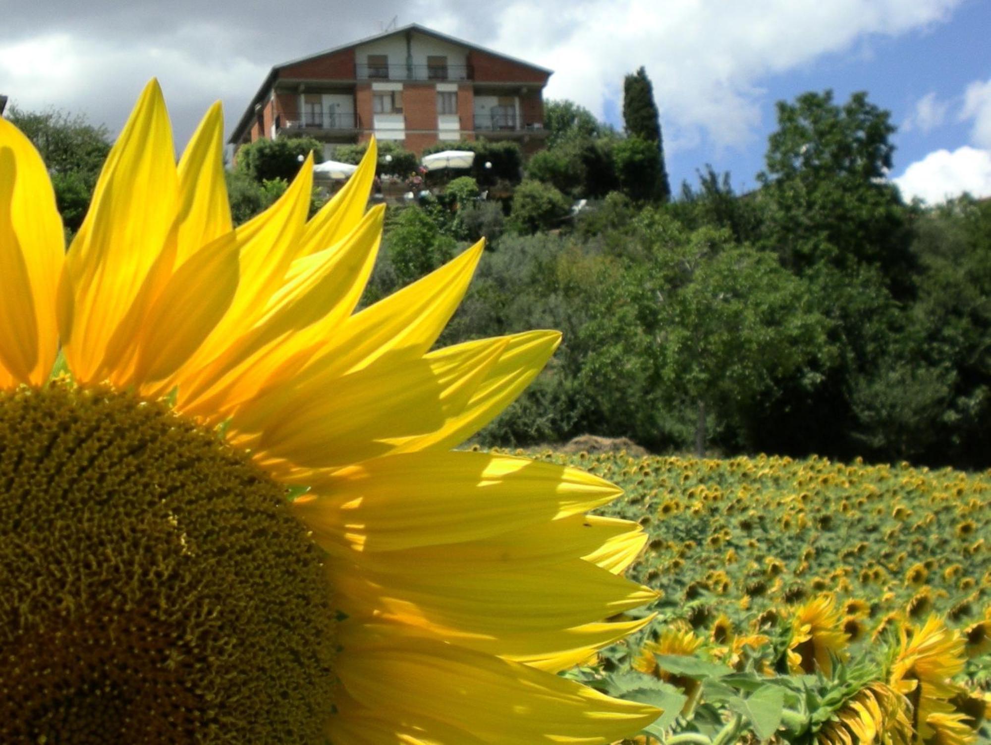 Hotel Sangallo B&B Montepulciano Exterior photo